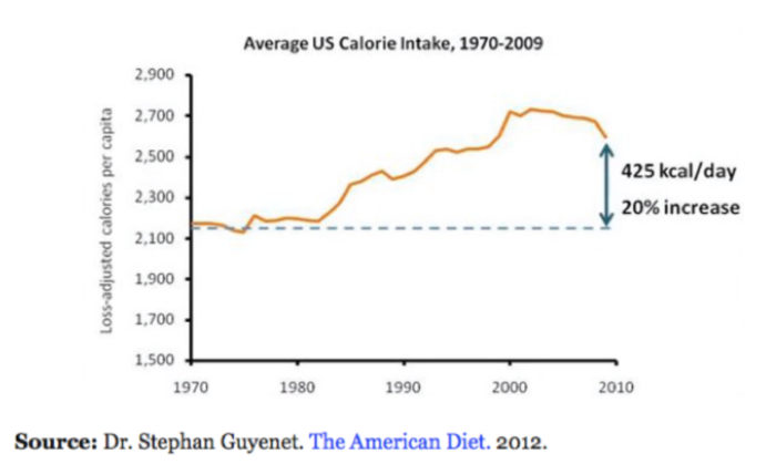Average US Calorie Intake
