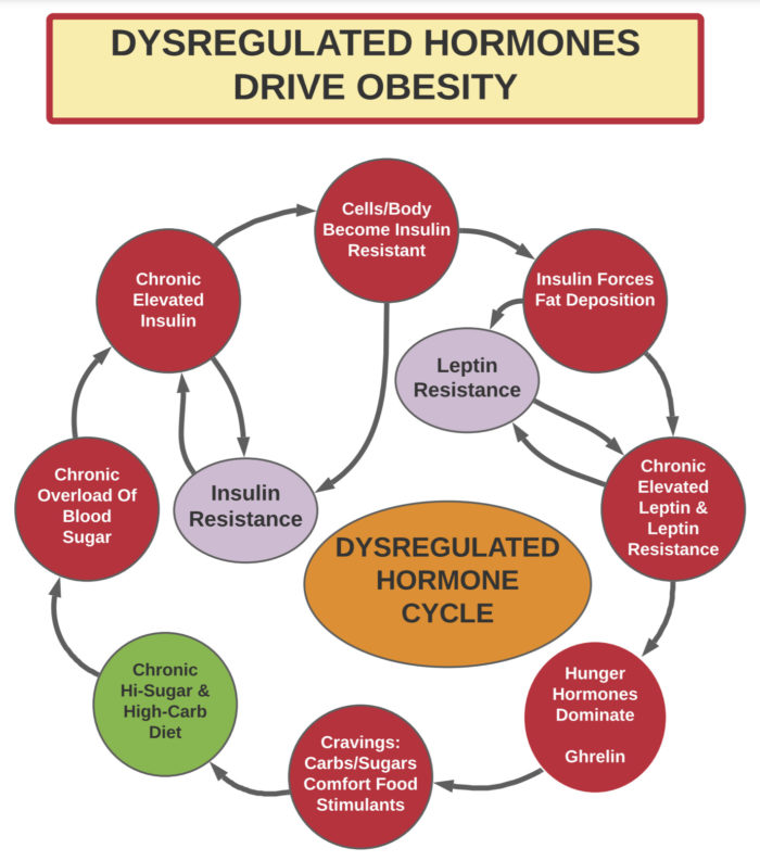 Dysregulated Hormones Drive Obesity