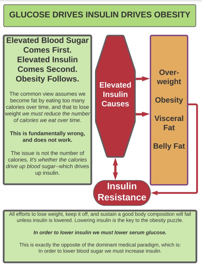 Glucose-Drive-Insulin-Drives-Obesity-1
