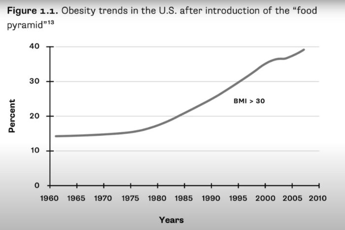 Obesity & Food Pyramid copy